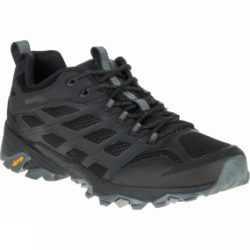 Mens Moab FST Shoe